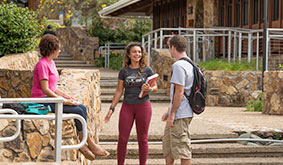 undergraduate_student graphic