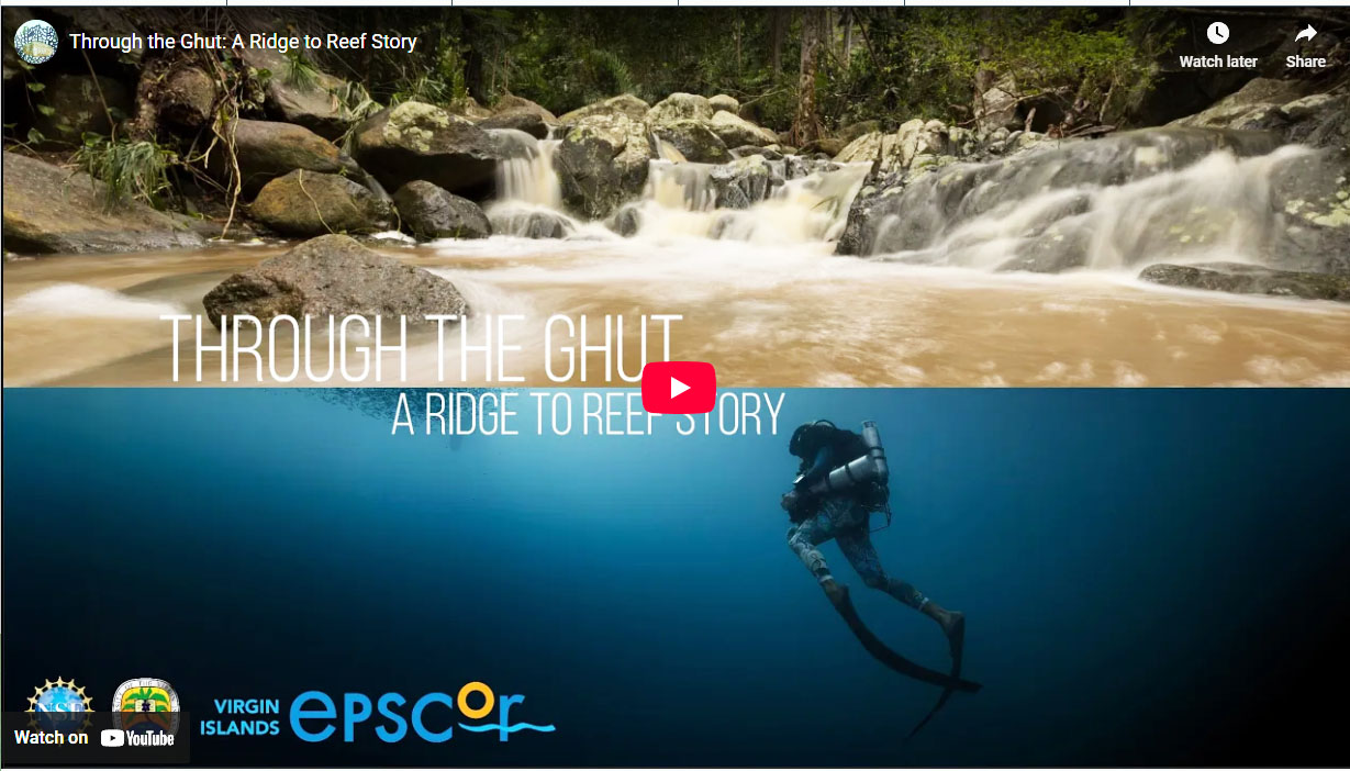 Multimedia Thumbnail