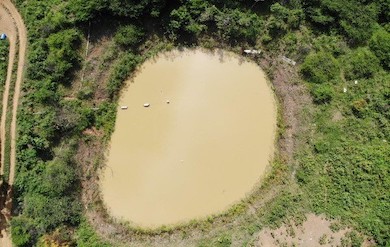 A pond in Bordeaux used by farmers for livestock and irrigation of crops; photo by Royce Creque