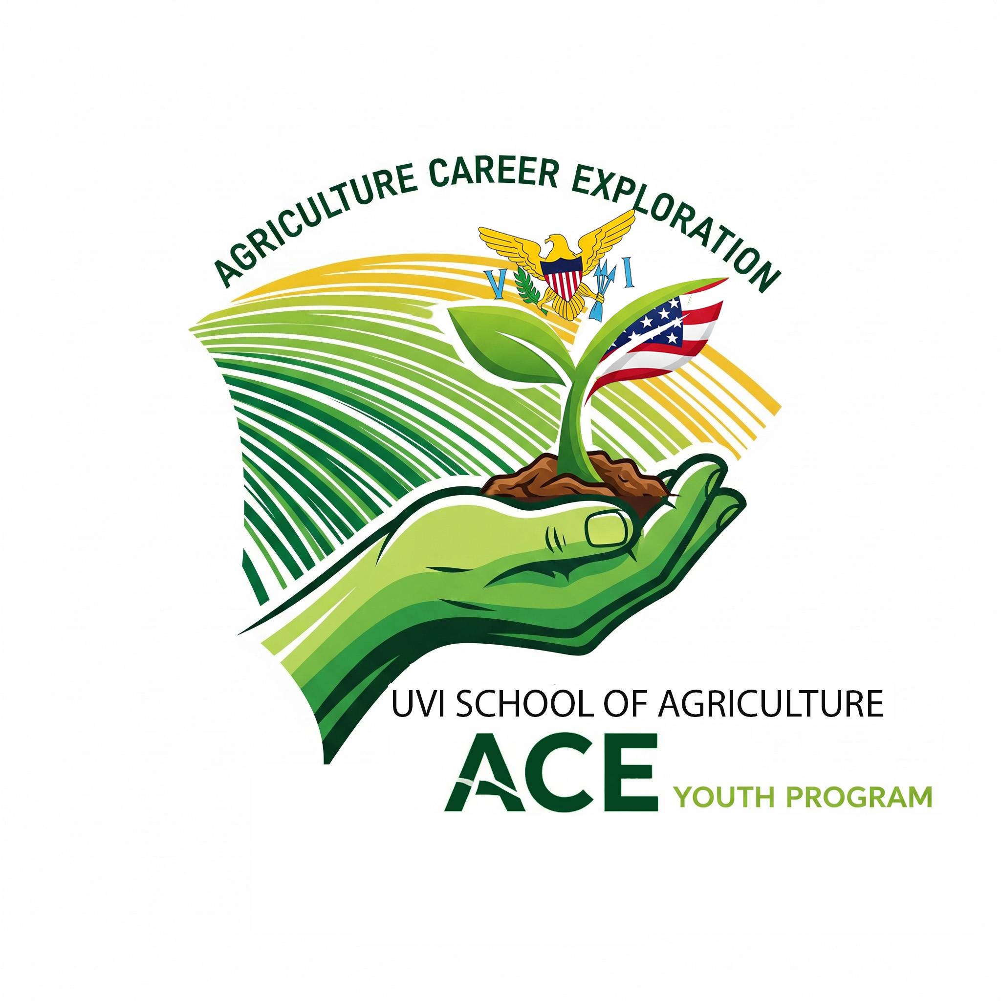 ACE Summer Program Flyer