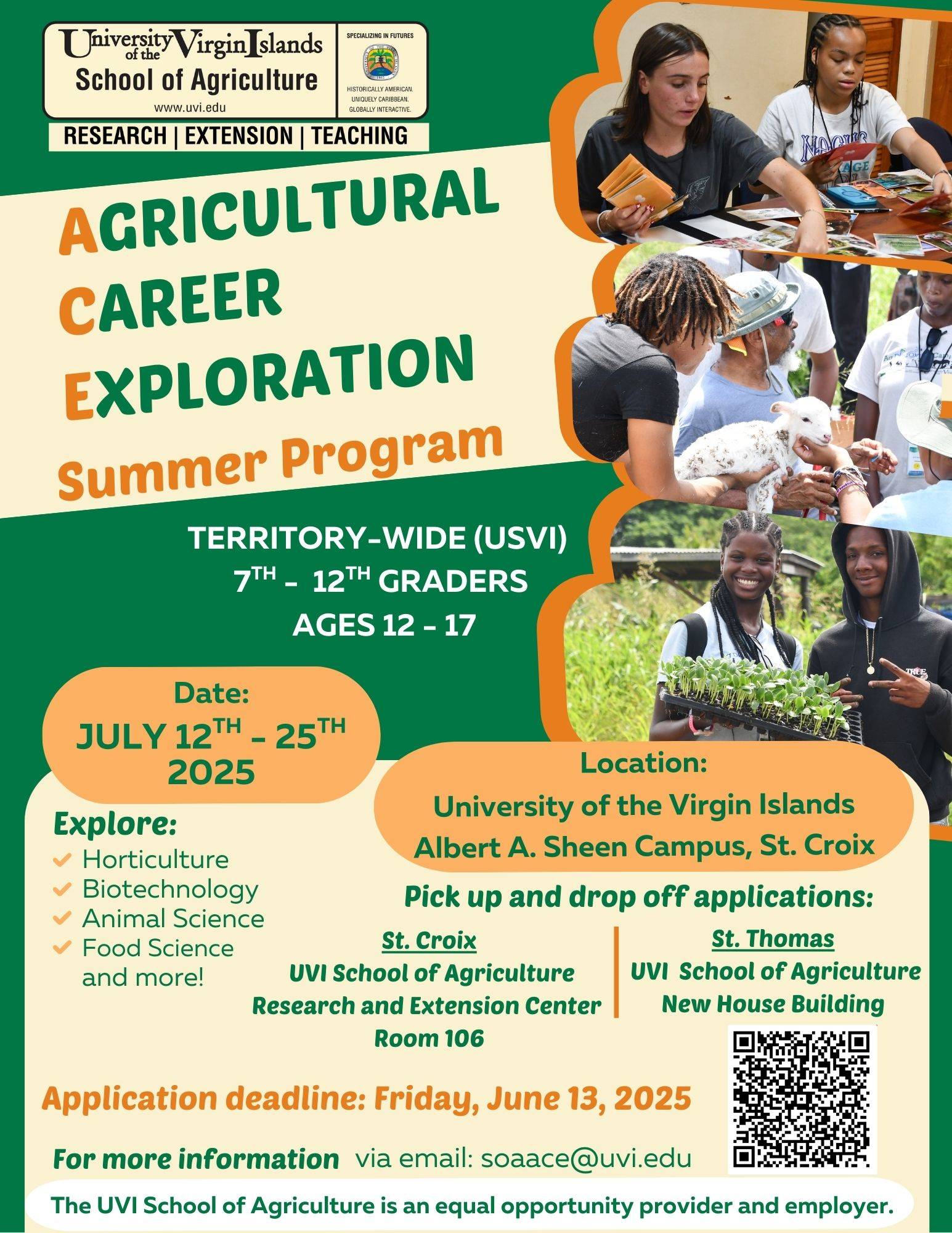 ACE Summer Program