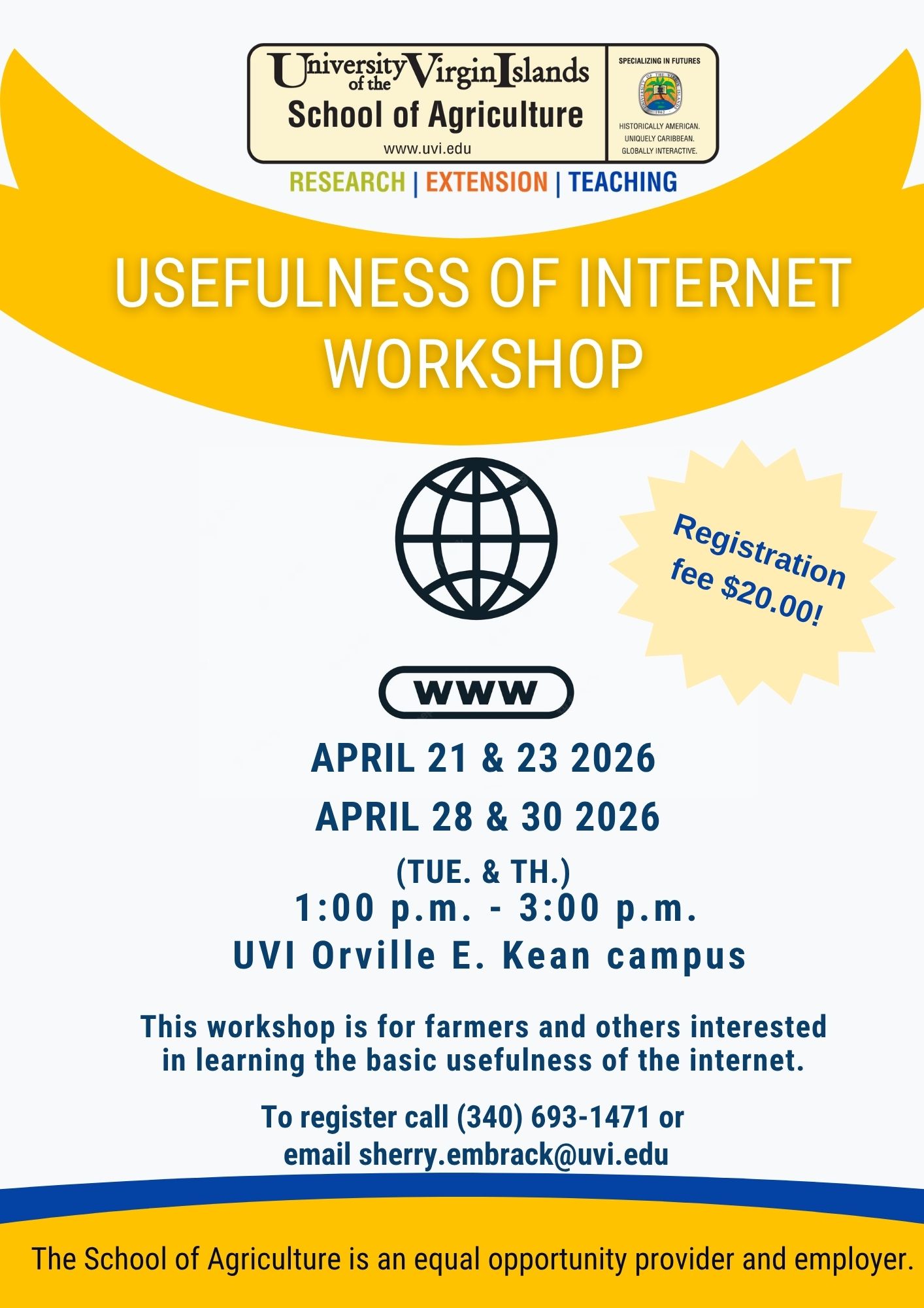 internet workshop stt