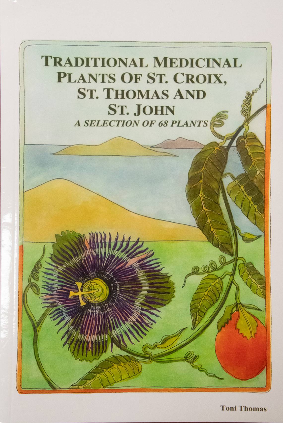 Traditional Medicinal Plants book