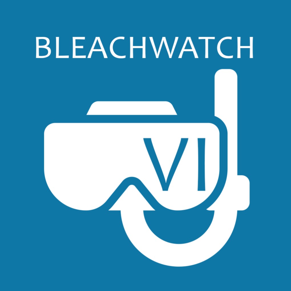 bleach watch vi