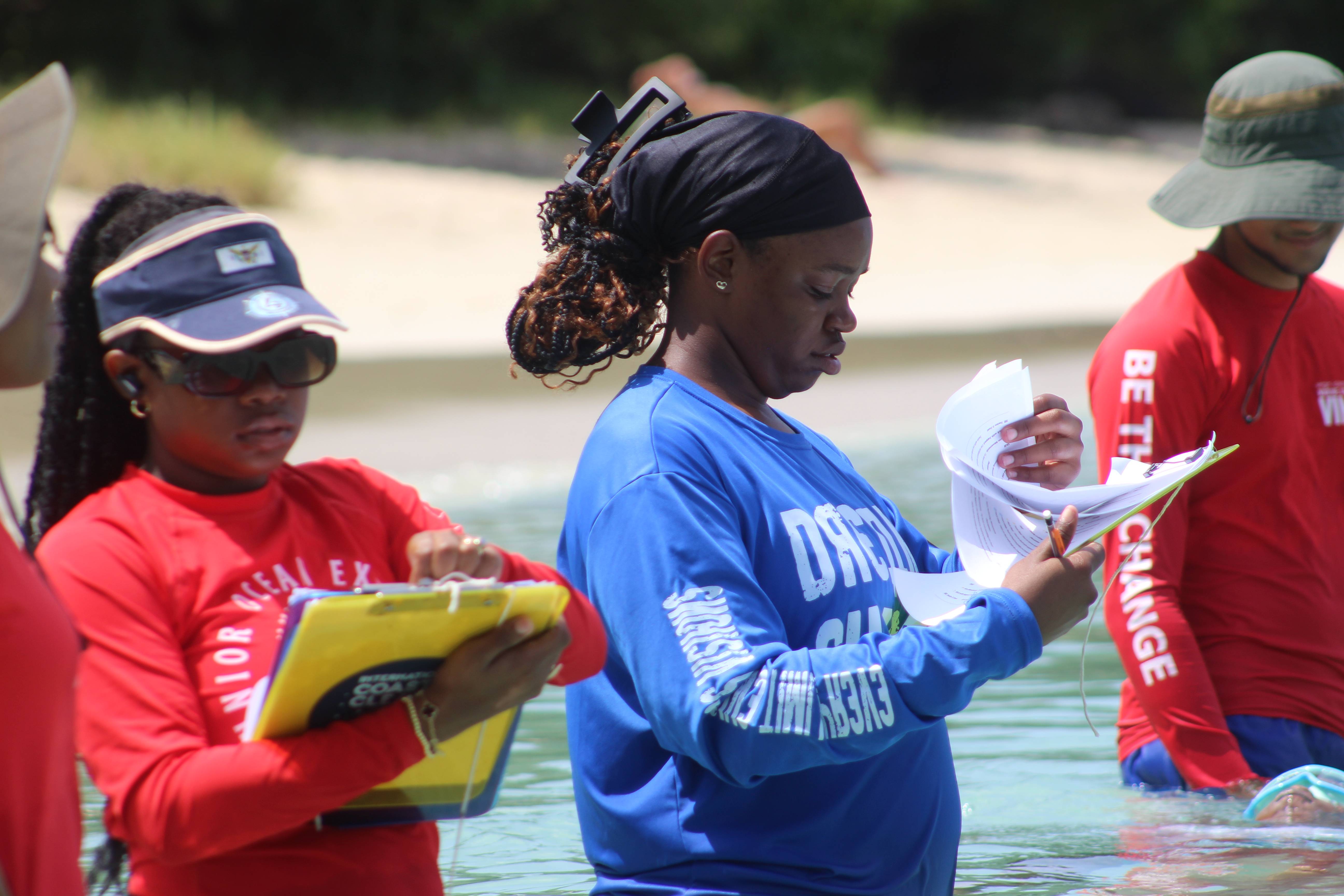 JOE Mentors Evaluating Students' Performance