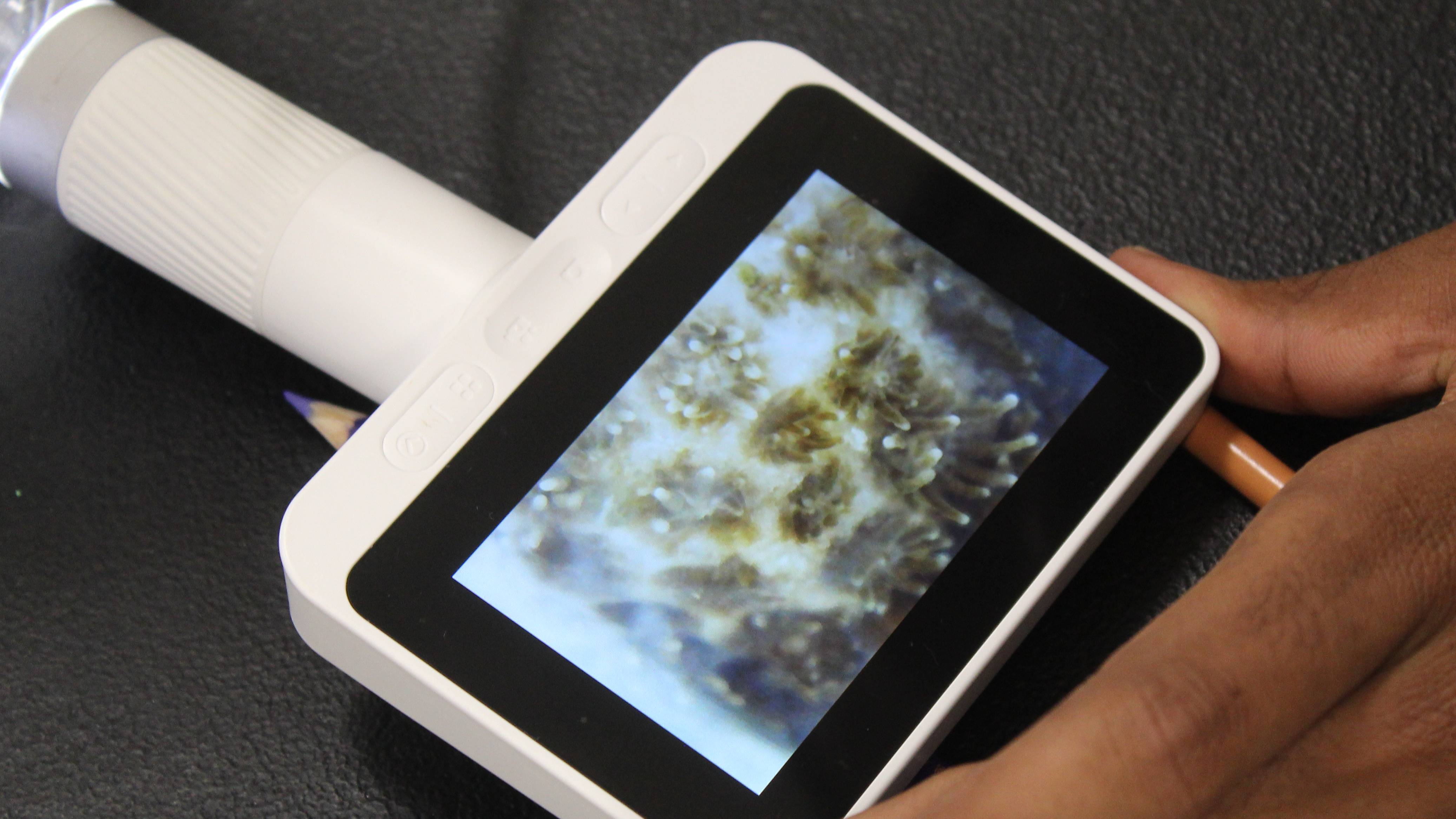 JOE staff using a microscope for students to get a closer look at coral polyps. 