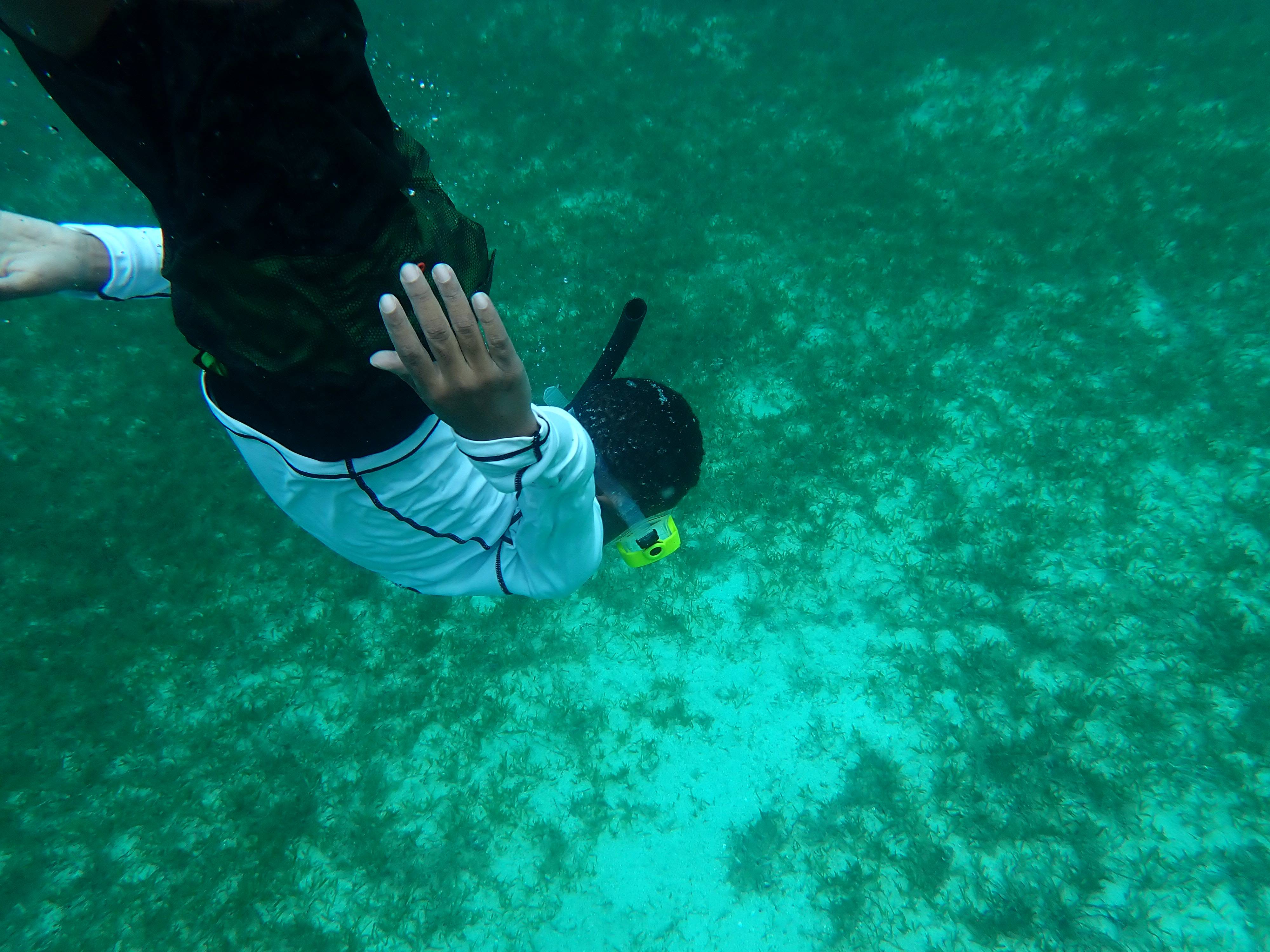 Student free diving 