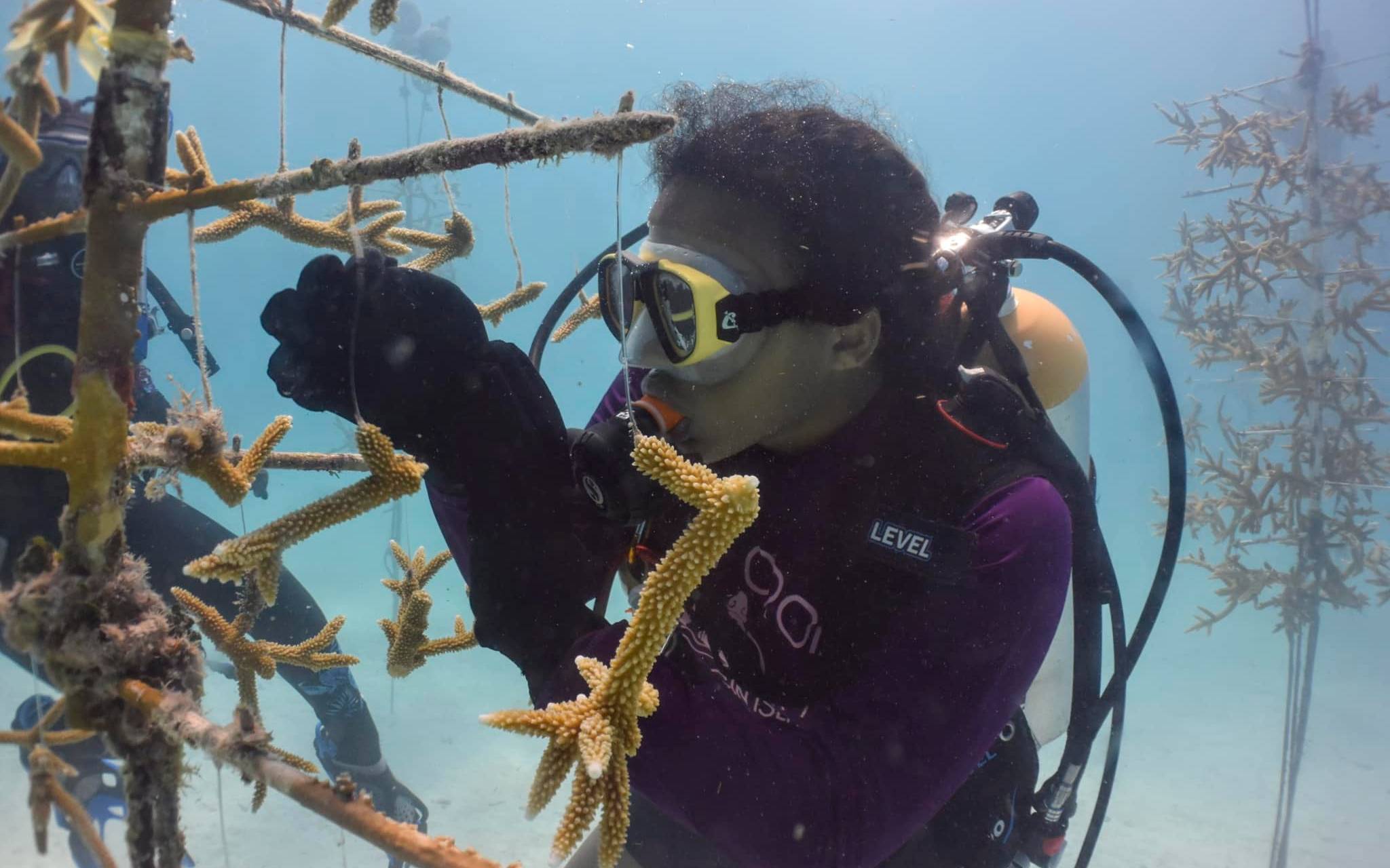 Student scuba diving 