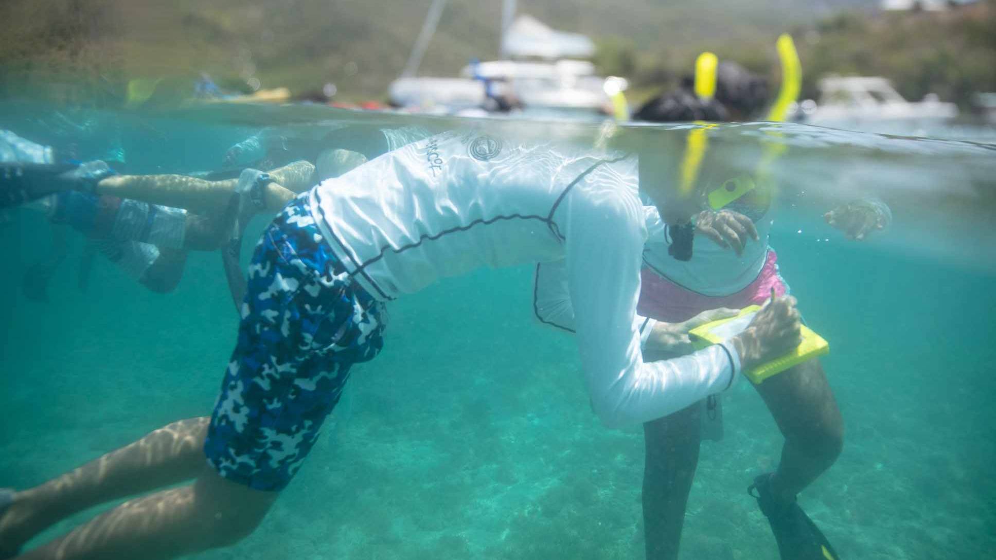 Students snorkeling and recording data 