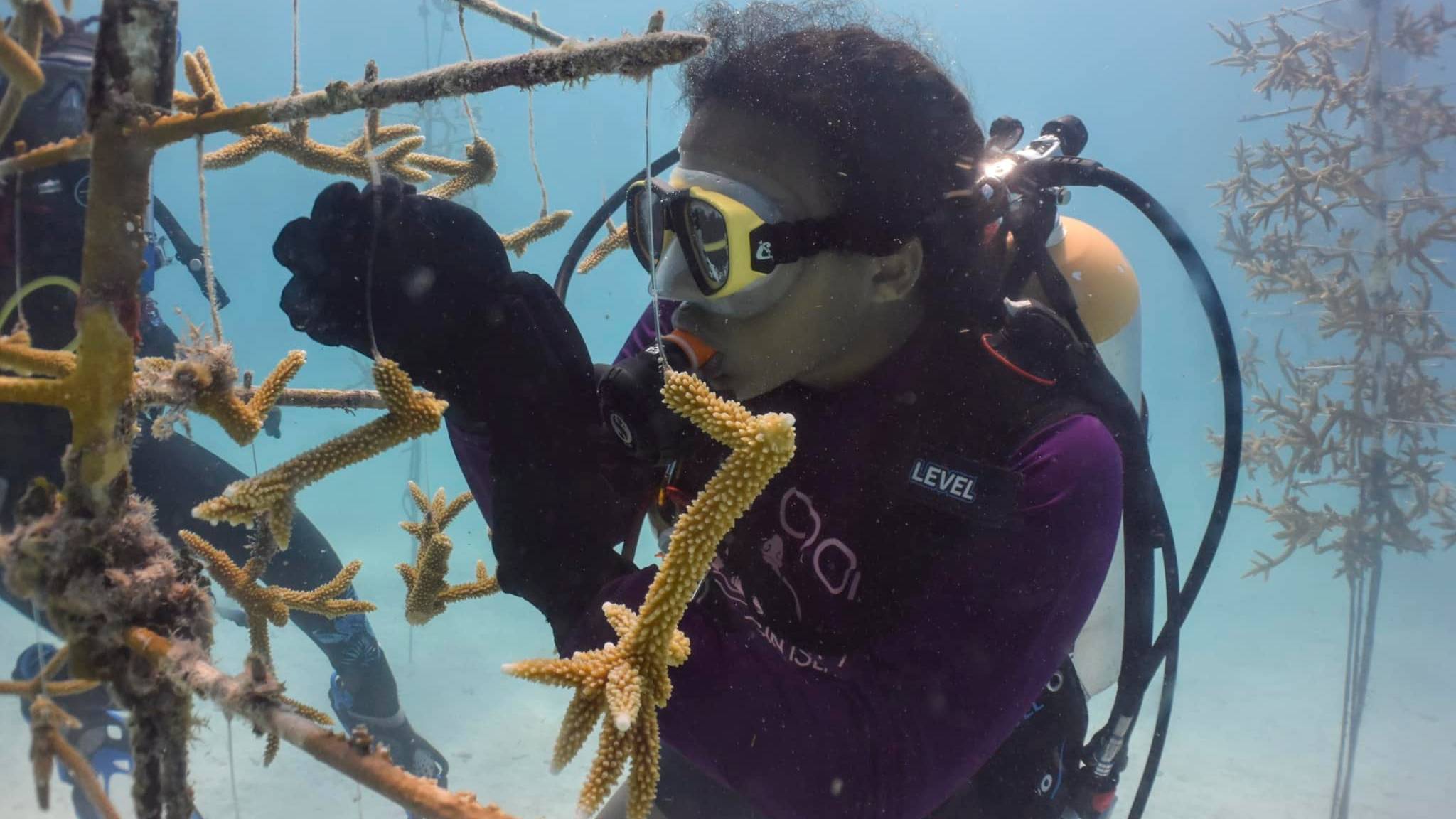 Youth Ocean Explorers student tending to corals at a dive site