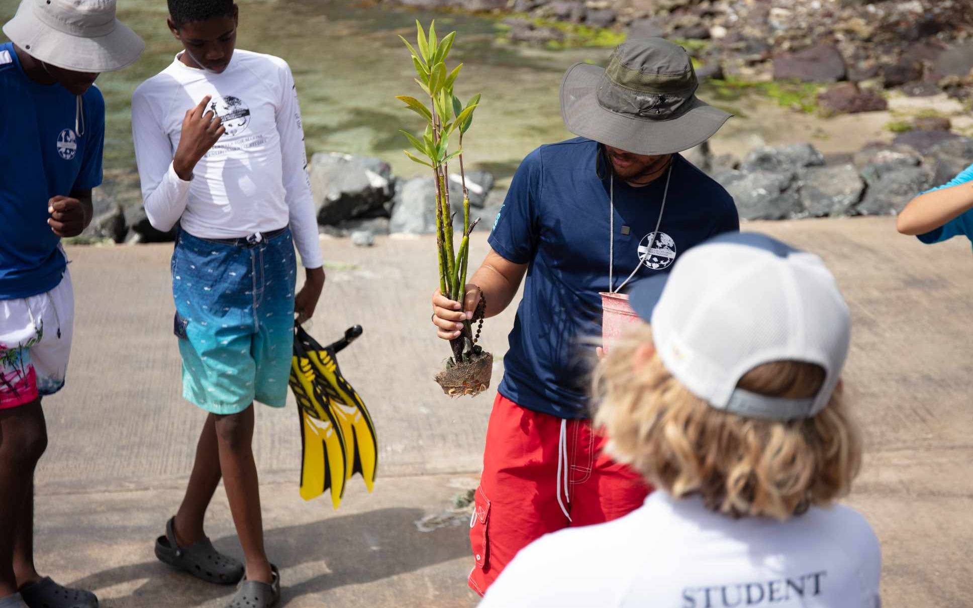 YOE students planting mangroves