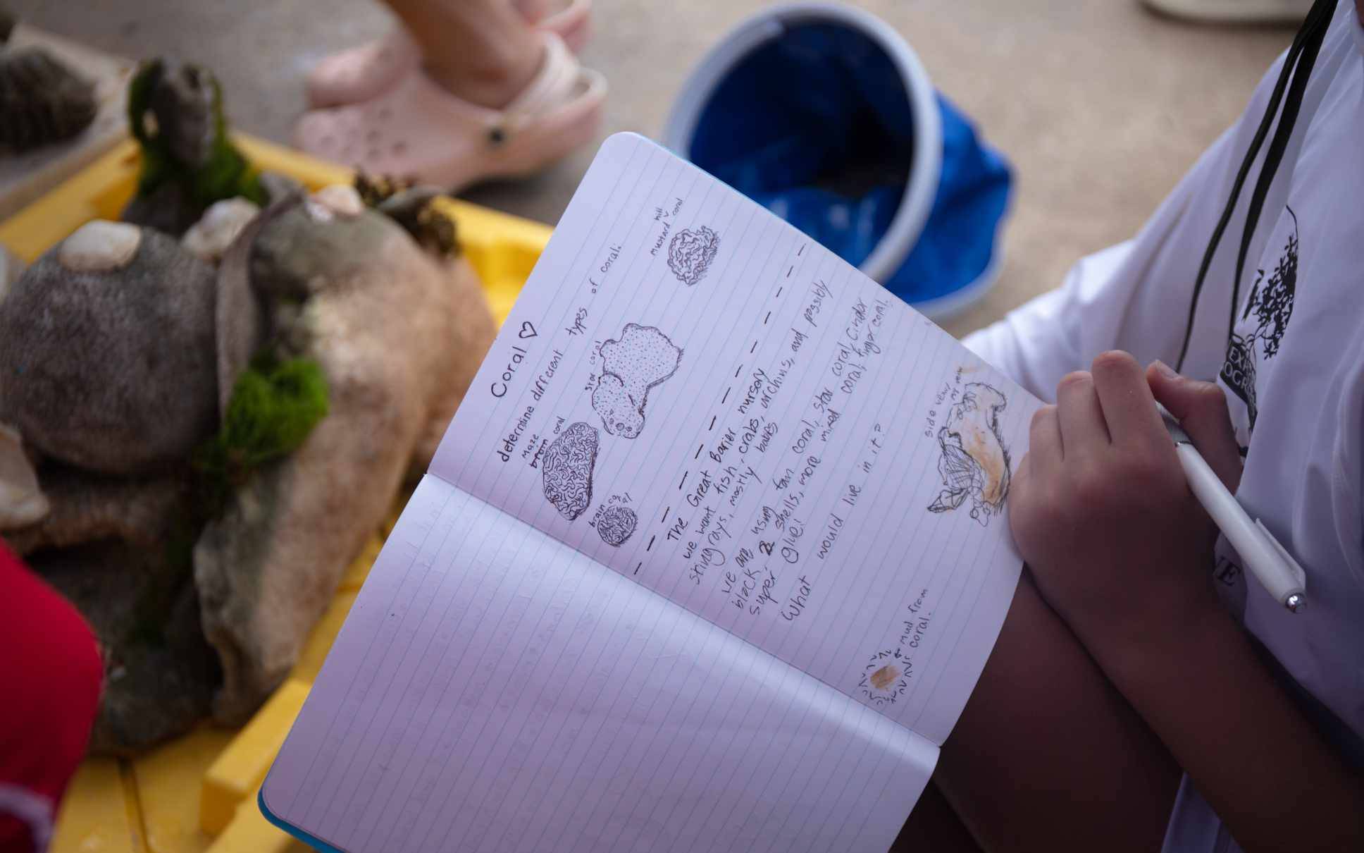 YOE students taking notes on coral species observed.