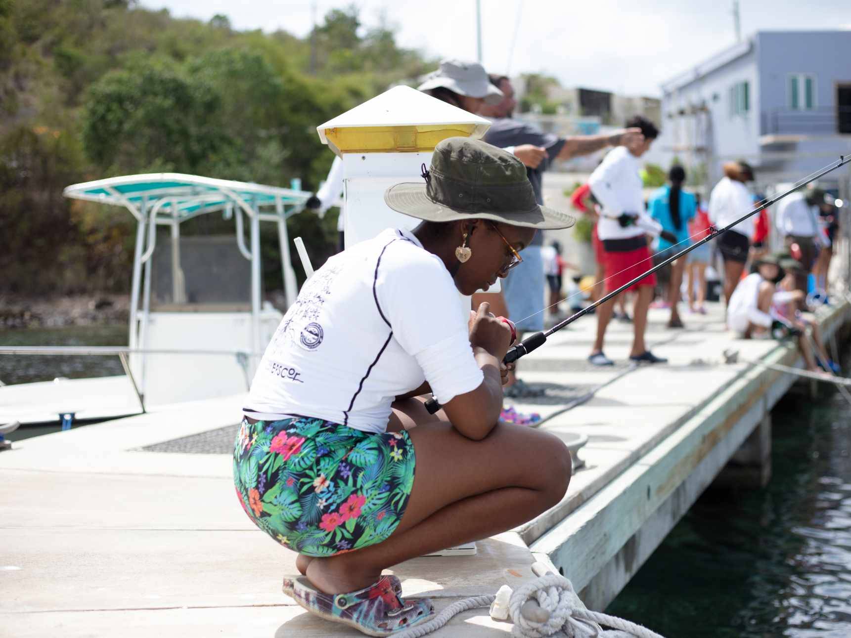 YOE Background Image, Baitfish and Tarpon Swimming