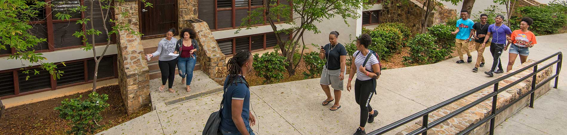 Students on campus grounds
