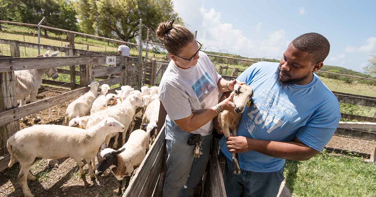 School of Agriculture Students