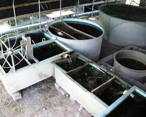 CAS clarifier, filter and degassing tanks