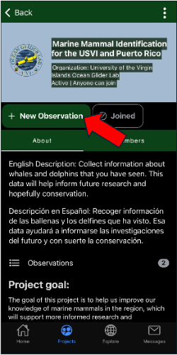 new observation