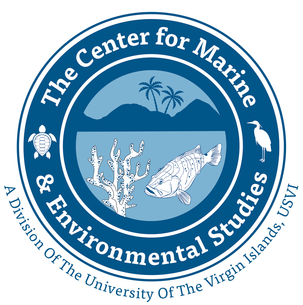 CMES Logo