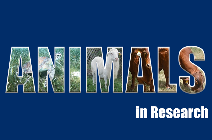 Animal Research