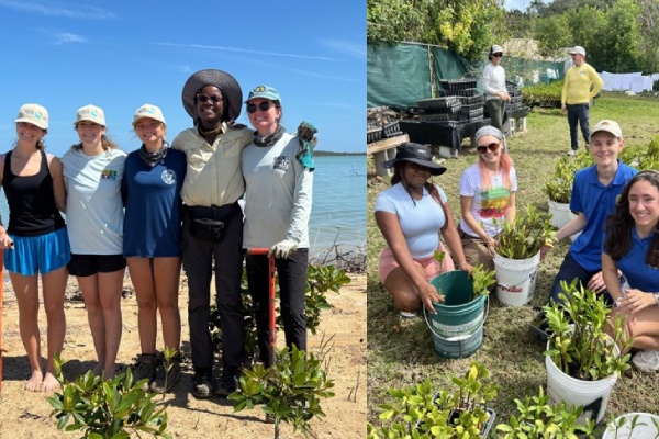 students learn about mangrove restoration in the caribbean