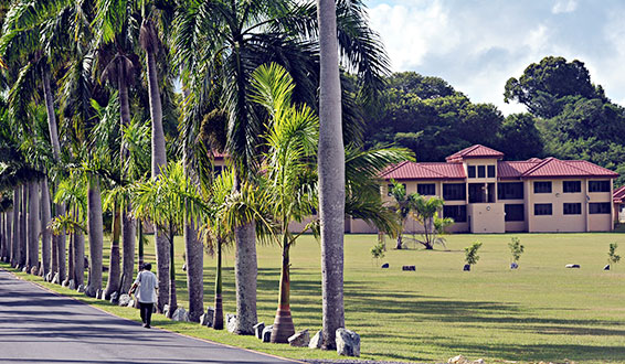 Photo of person walking on  Albert A. Sheen Campus St. Croix