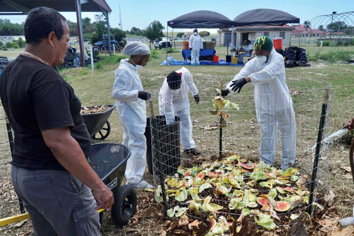 UVI Performs Organic Waste Audit to Investigate Options to Reduce Food Waste in VI      