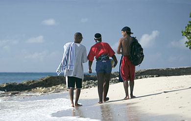 UVI students on the beach.