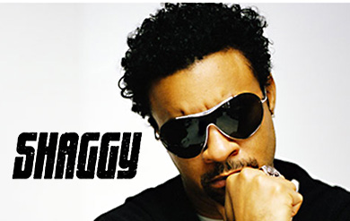 Reggae and dancehall artist Shaggy