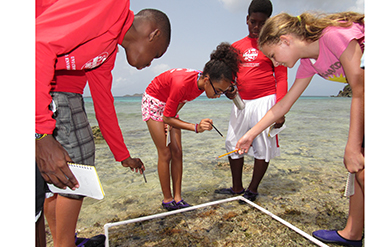Students participate in Marine and Environmental Science