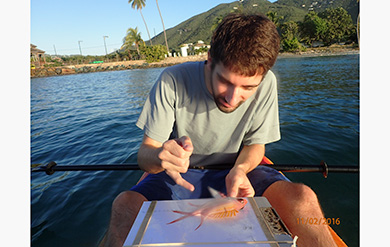 Marine Biology student takes great interest in identifying a fish.