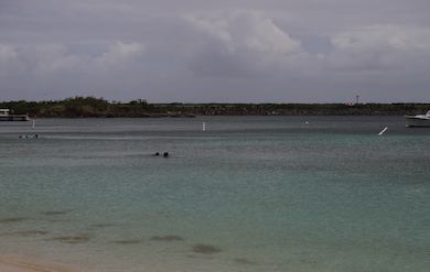 Swim buoys at brewers beach